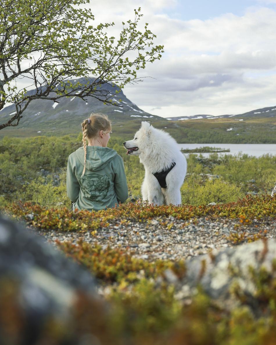A lady with a cool Kilpisjärvi Wolverine hoodie is sitting and looking at beautiful summer landscape in Kilpisjärvi. She has a white fluffy dog with her.