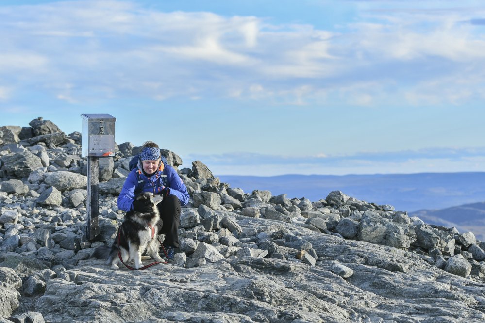 Nainen ja koira iloisina katsovat toisiaan Saanatunturin huipulla, Saanan laatikon vierellä