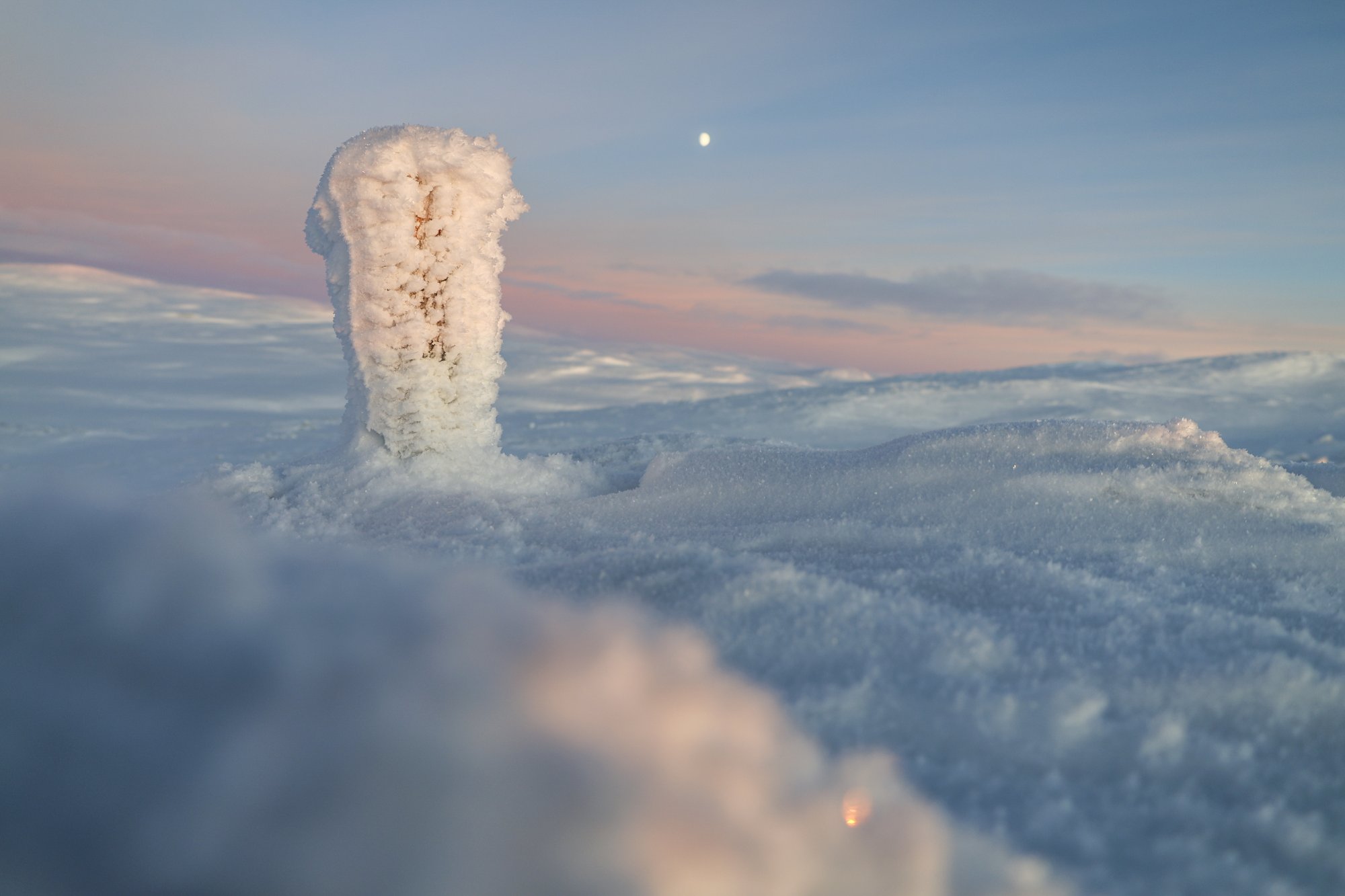 A frozen trail marker on the summit of Saana on a pastel-colored polar night day.