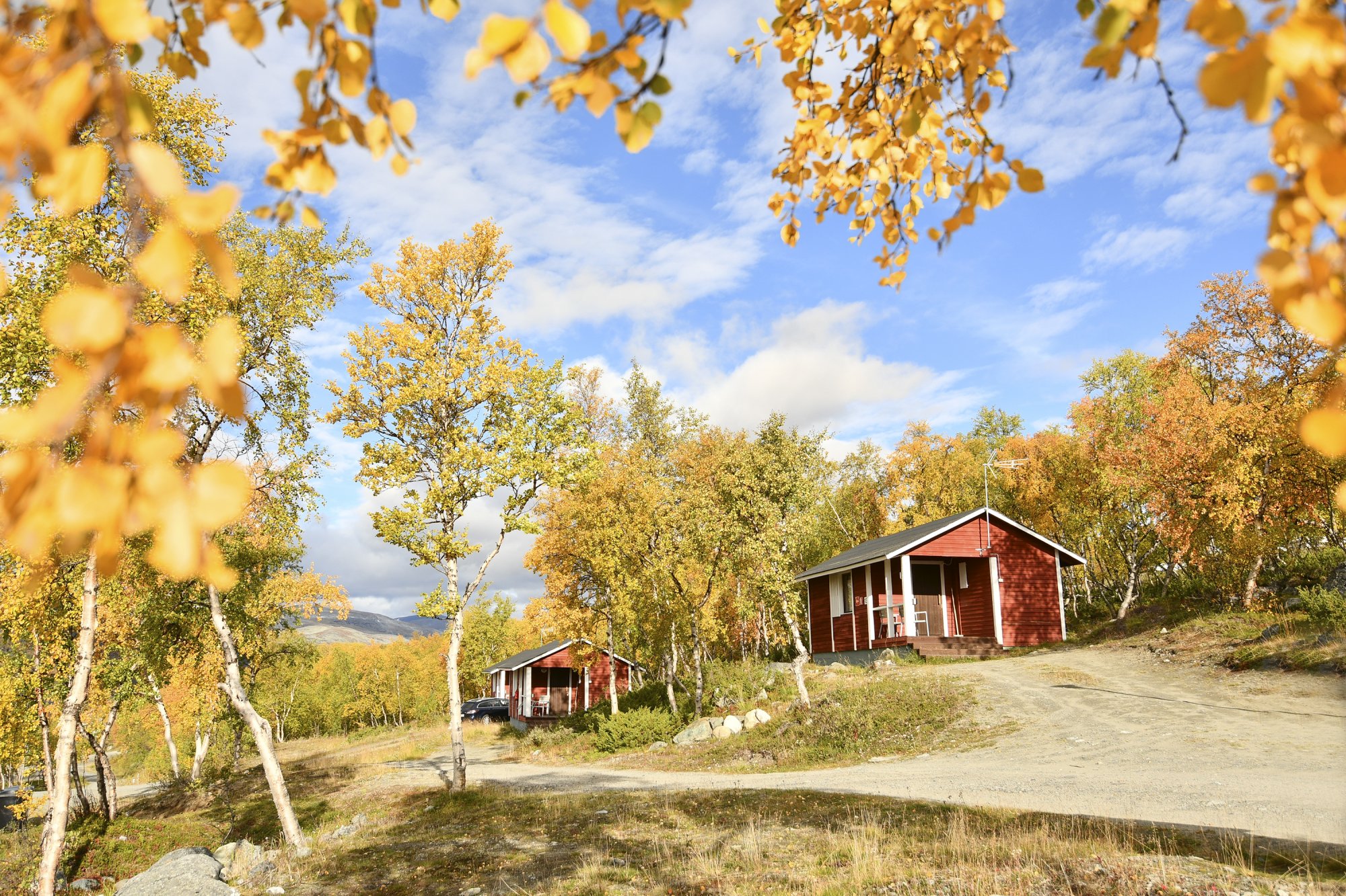 Autumn foliage and the cabins at Kilpisjärven Retkeilykeskus