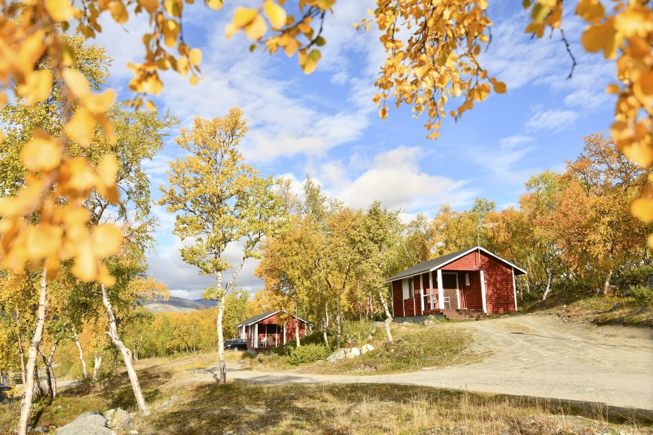 red cabins in kilpisjärven retkeilykeskus on sunny autumn day, yellow leaves framing the picture