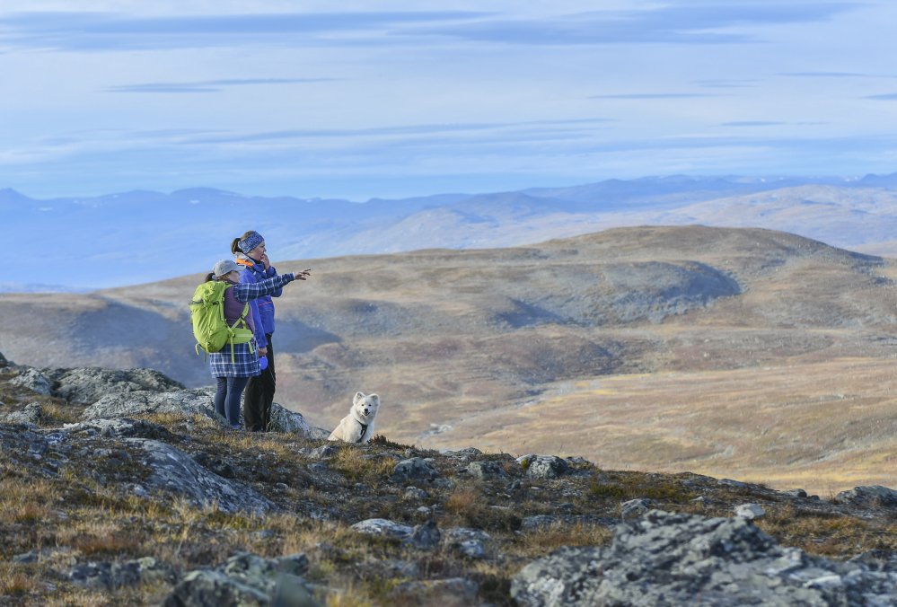 Kaksi naista seisoo valkoisen pienen lapinkoiran kanssa tunturiylängöllä Saanalla, ja osoittavat oikealle kohti Käsivarren erämaa-aluetta.