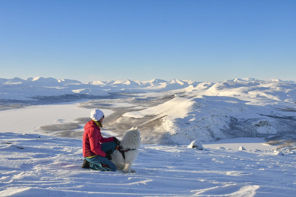 Nainen ja koira katselevat kohti Norjan tuntureita talvisen saanan rinteellä. Aurinko paistaa ja taivas on sininen, taustalla näkyy Kilpisjärvi, pikku-Malla sekä monia muita tuntureita.