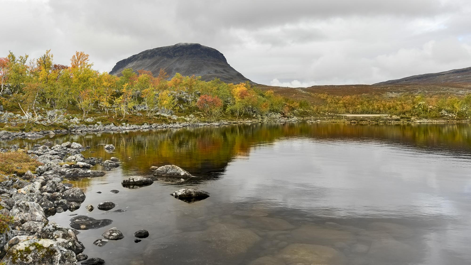 Autumn-coloured birch forest along the shores of Tsahkaljärvi in Kilpisjärvi, with Saana – Finland’s most iconic fell – rising in the background.