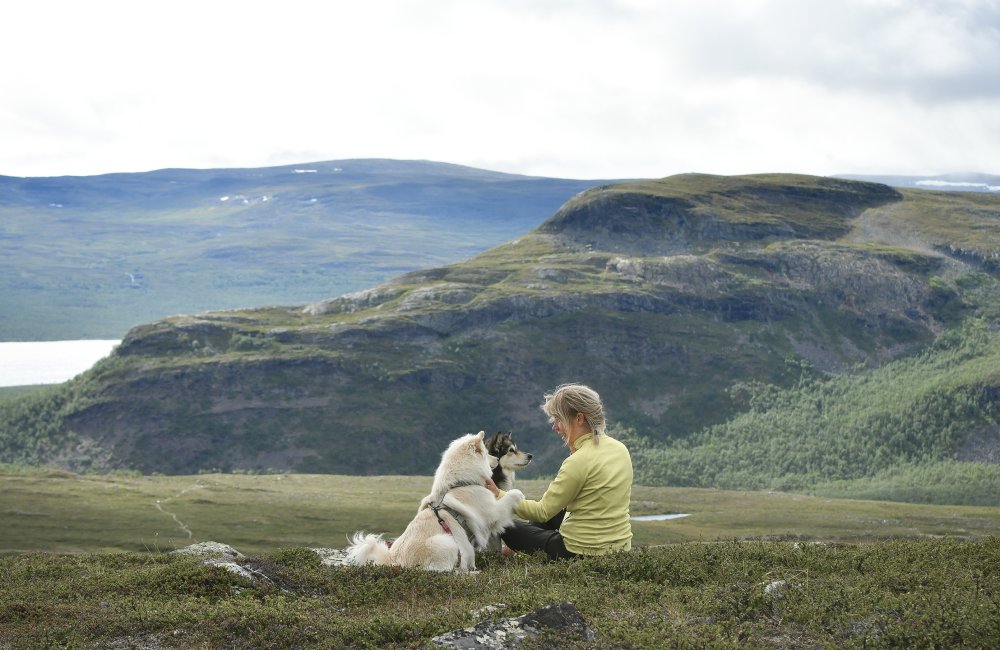 Tunturissa on helppo hengittää, lyhyen kesän retkillä nautitaan joka sekunnista. Nainen ja kaksi koiraa istuvat Jehkas tunturin rinteellä maiseman avautuessa heidän takanaan Kilpisjärvelle ja pikku-Mallalle päin