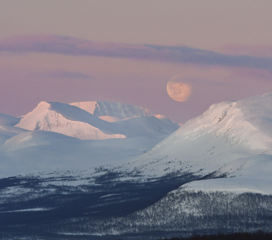 A moon is rising behind snowy fells. Sky is pink because of polar night. 
