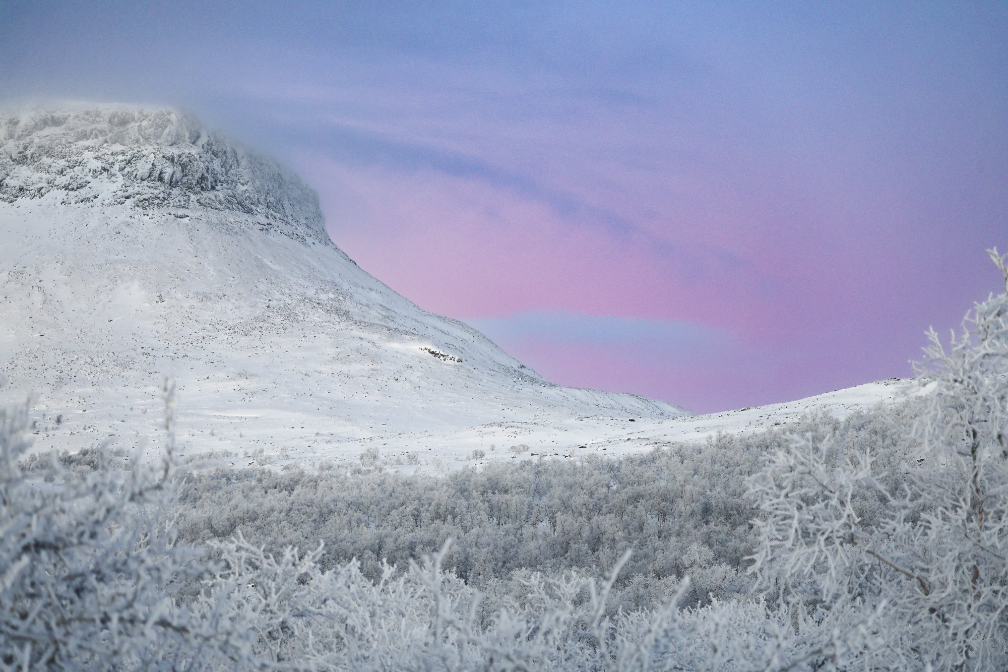 Snow-covered Saana Fell in Kilpisjärvi during the polar night, with a soft pink sky in the background