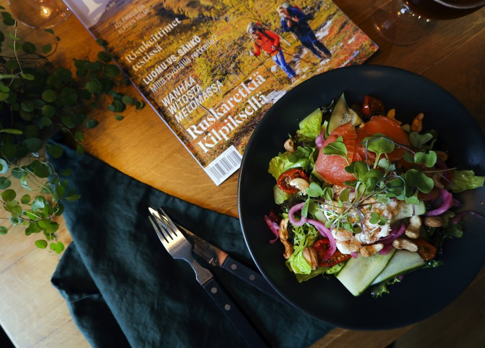 Colourful salmon salad on green plate in a restaurant in Kilpisjärvi. There is also a magazine and a green plant on the table.