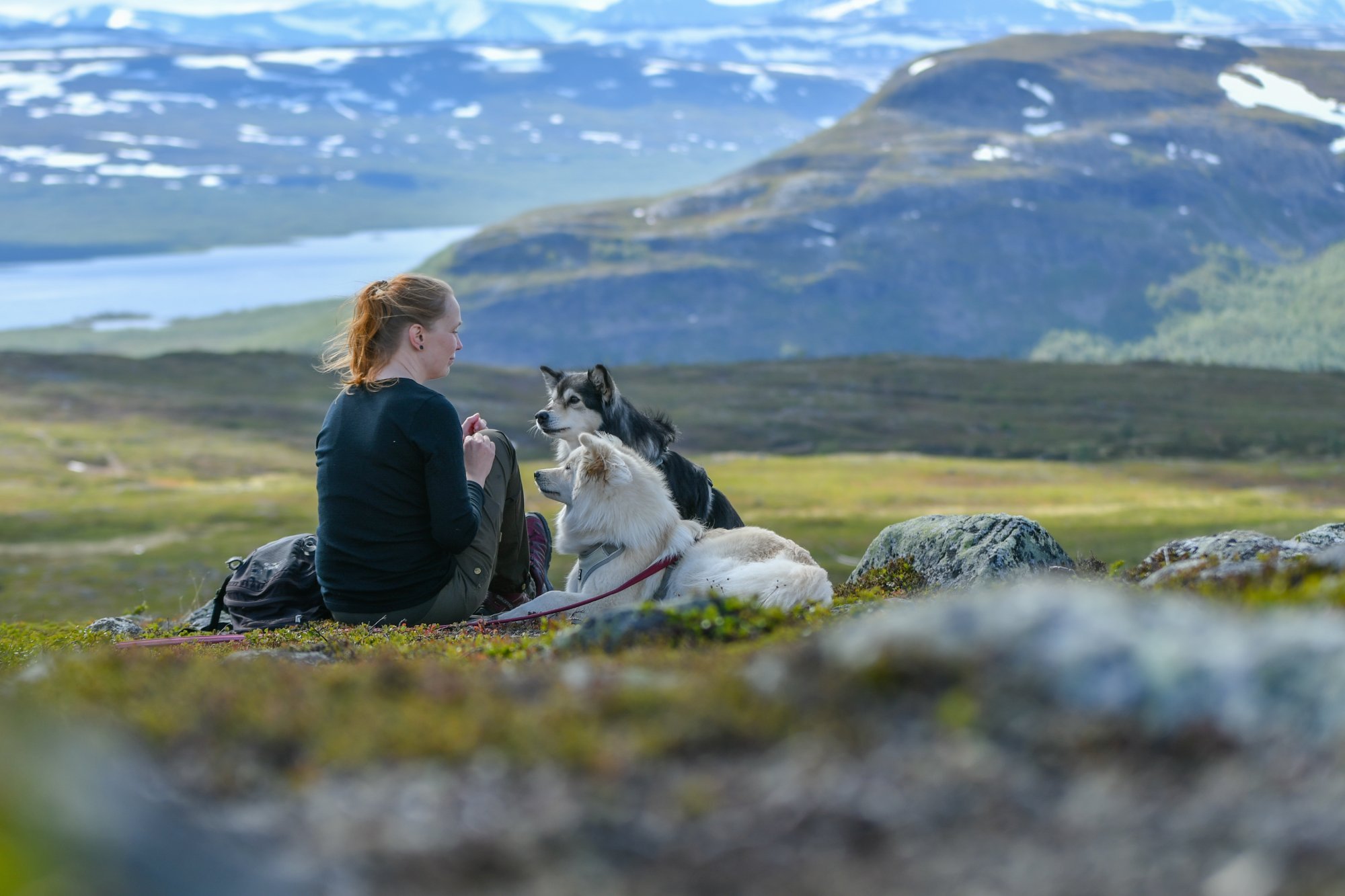 A womsan is sitting on fell side with two lapphunds looking at her for treats